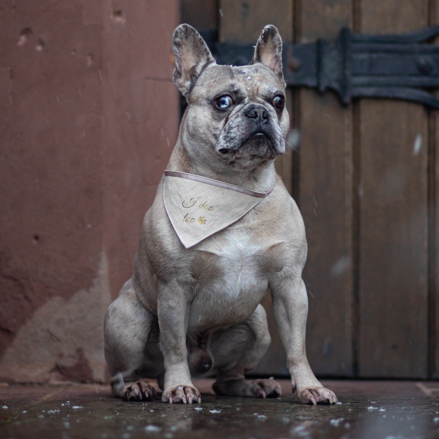 Dog scarf for wedding | linen | beige