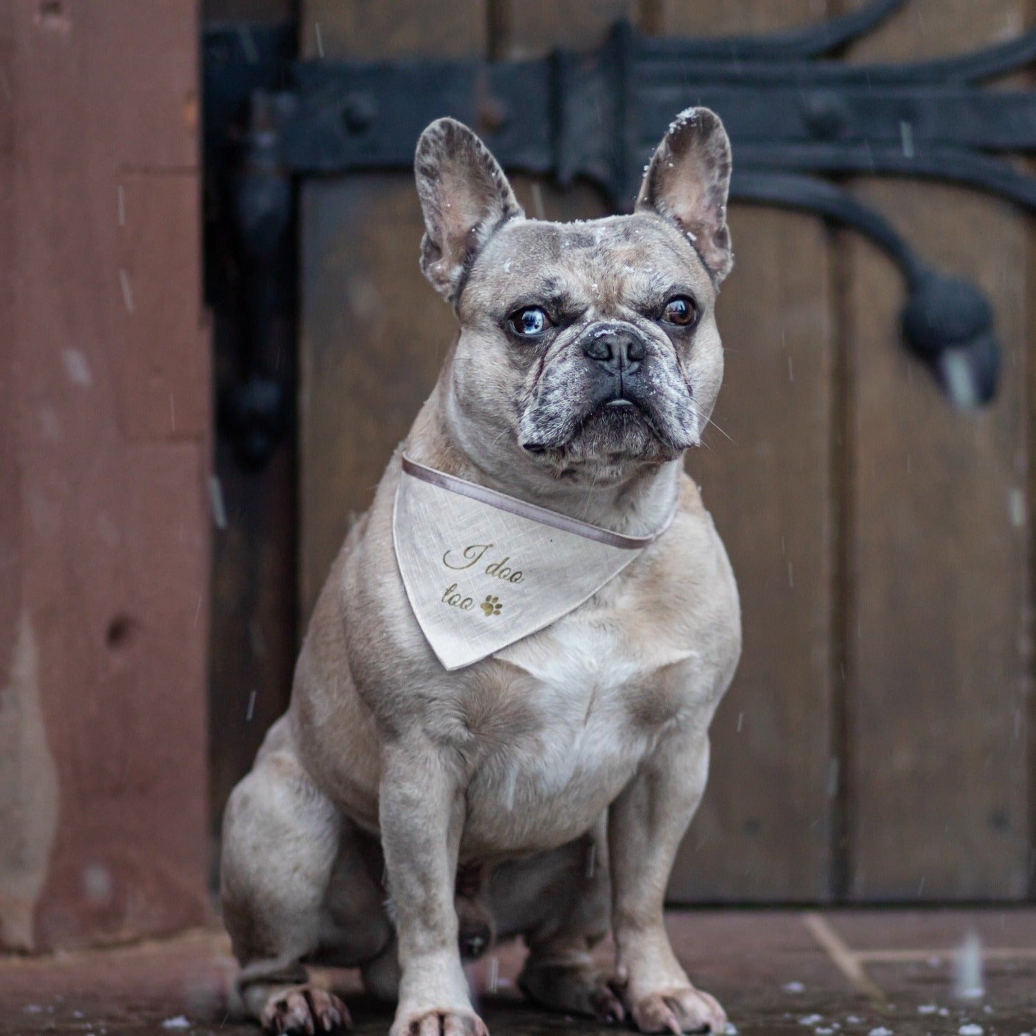 Hunde Halstuch zur Hochzeit | Leinen | beige