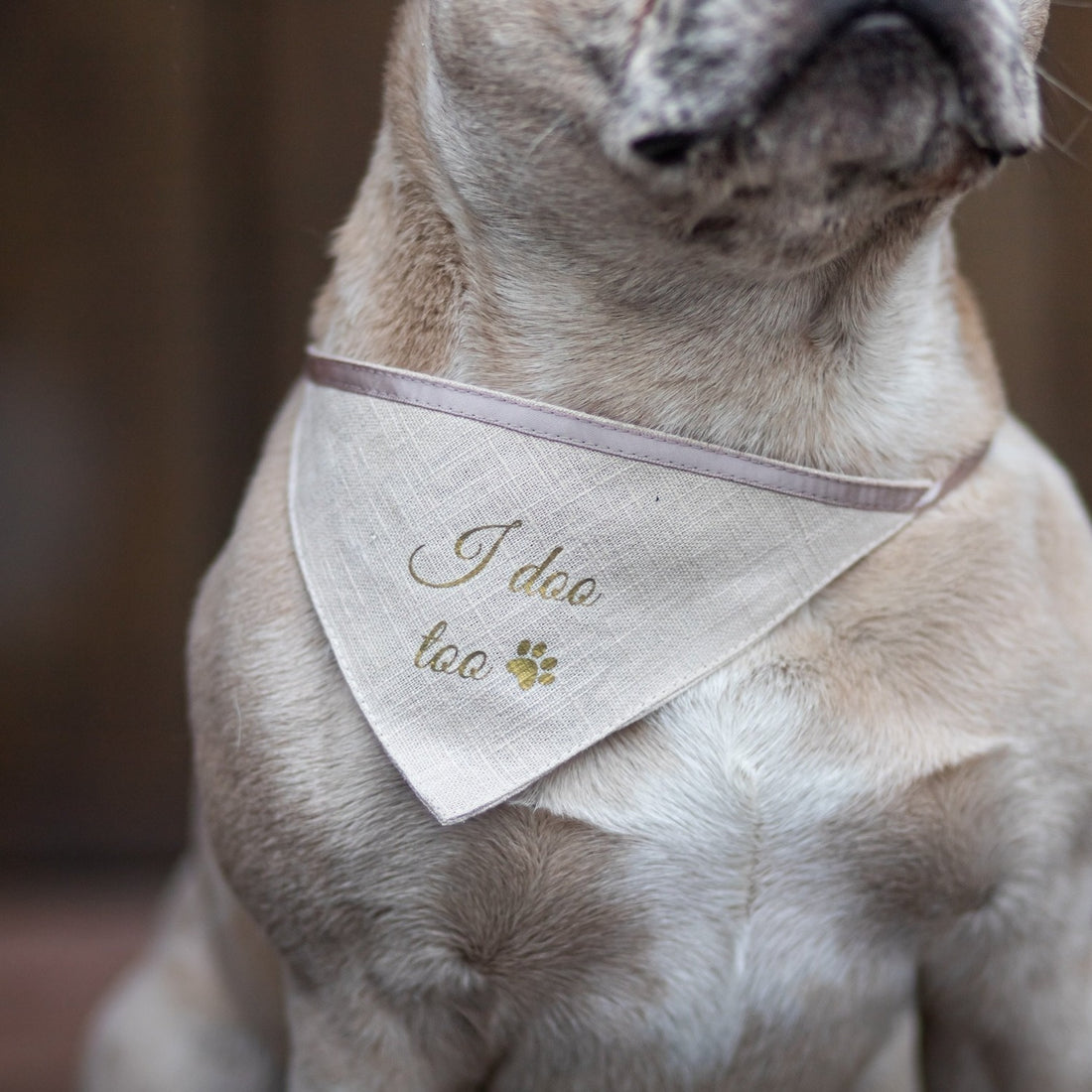 Hunde Halstuch zur Hochzeit | Leinen | beige