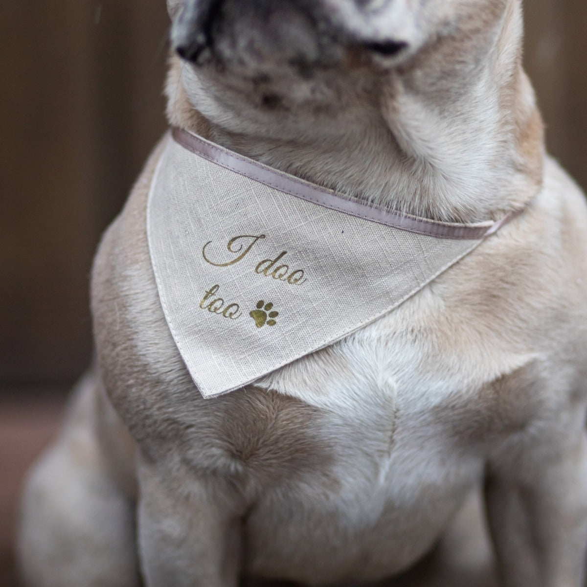 Hunde Halstuch zur Hochzeit | Leinen | beige