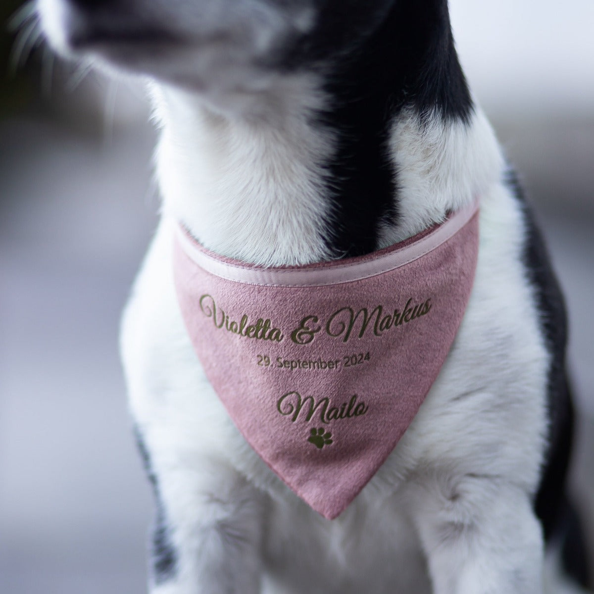 Dog scarf | velvet | old pink