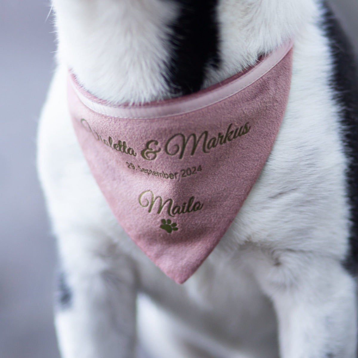 Dog scarf | velvet | old pink