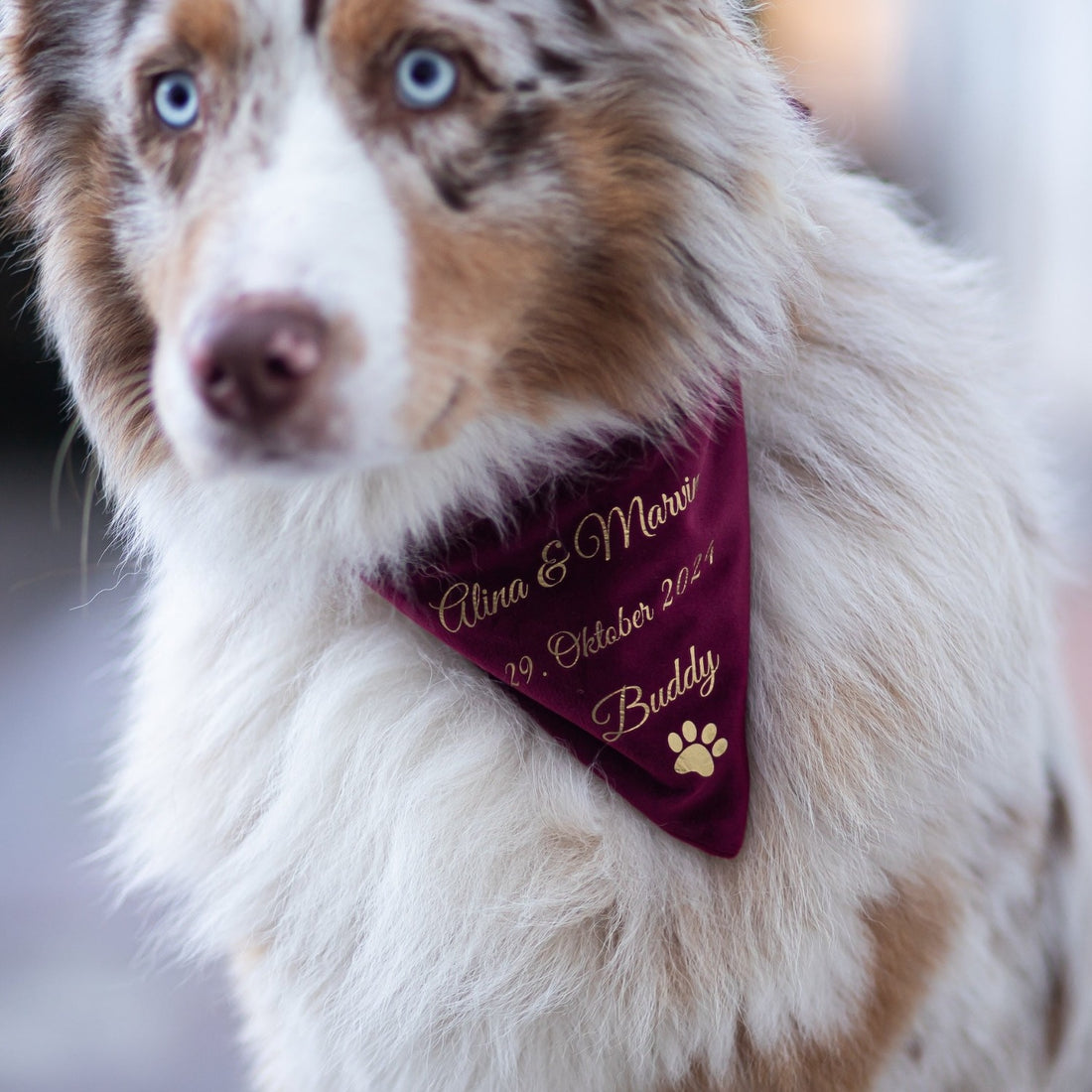 Dog scarf | velvet | ruby ​​red