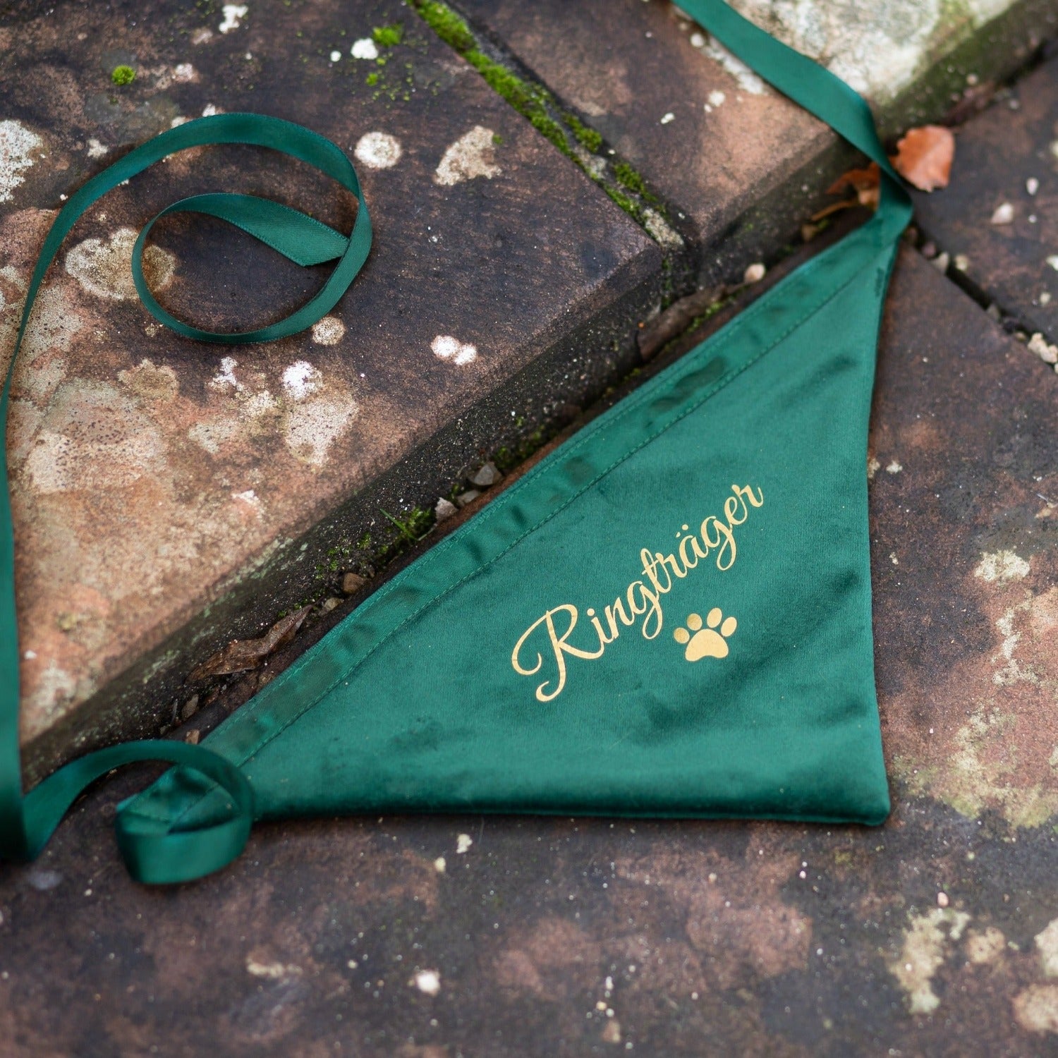 Dog scarf | velvet | forest green