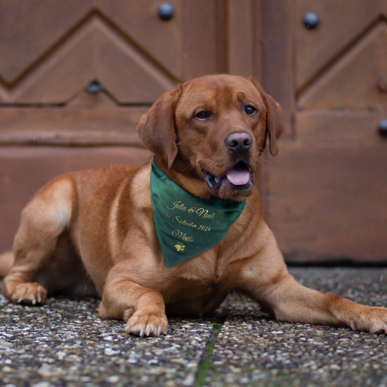 Dog scarf | velvet | forest green